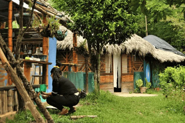 Casas de madera con techo de paja entre árboles, con una persona agachada en el jardín