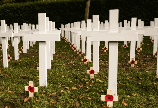 Filas de cruces blancas con amapolas rojas en un cementerio sobre el césped