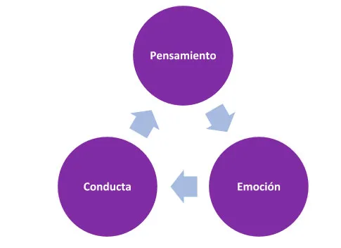 Diagrama circular con tres círculos morados conectados por flechas: «Pensamiento», «Emoción» y «Conducta»