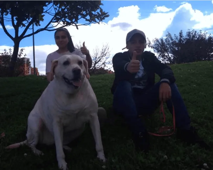 Dos personas con un perro labrador grande sobre el pasto de un parque, una de ellas con el pulgar arriba