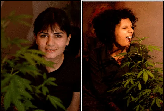 Dos retratos de jóvenes junto a plantas de cannabis