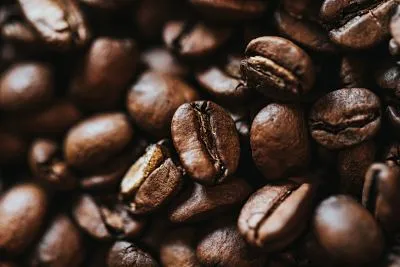 Granos de café tostados en primer plano