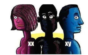 Ilustración de tres cabezas de perfil en rosa, negro y azul con las etiquetas «XX», «Y» y «XY»