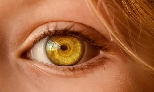Primer plano de un ojo color miel